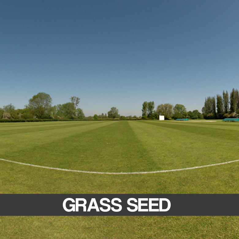 WEB IMAGES-New-Grass Seed.png